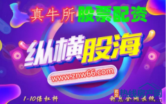 真牛所股票配资网站:新手适合跟股票配资平台