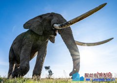 奈飞二季度减少97万用户,连续两个季度订阅用户