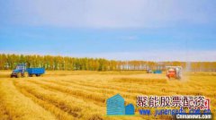 黑龙江粮食作物收获超八