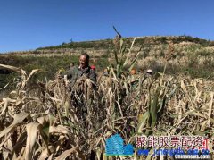 革命老村<font color=